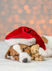 Jack russell terrier wearing red santa's hat sleeps with favorite toy bear on festive background. Empty space for text