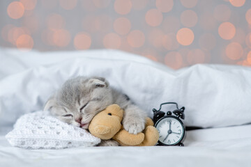 Cute kitten sleeps on a pillow under white blanket on a bed at home on festive background and hugs favorite toy bear © Ermolaev Alexandr