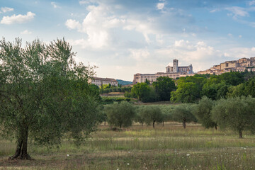 Fototapeta na wymiar View of Assisi, the town of St. Francis (S. Francesco), Umbria, Italy.