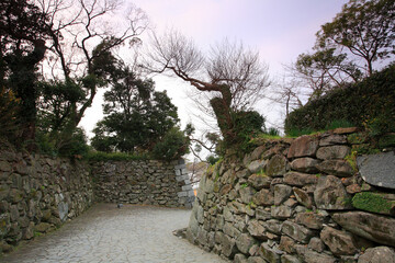 Fototapeta premium 福岡城跡