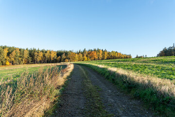 The Thuringian landscape is like a painting that would make even Bob Ross jealous – with more greenery than in a salad buffet