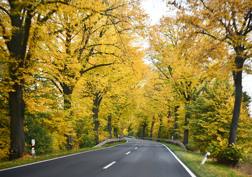 deutsche Bundesstrasse im Herbst