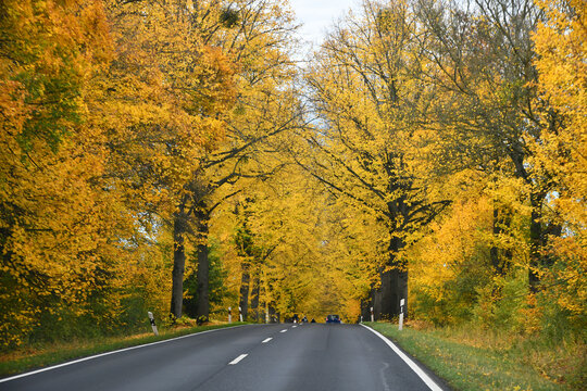 deutsche Bundesstrasse im Herbst