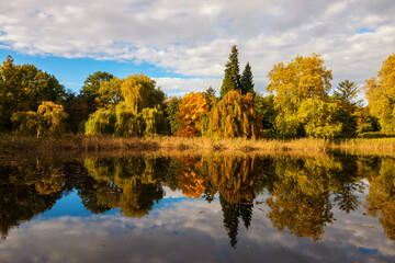 Herbstspiegelung