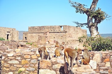 spooky ruins of Bhangarh Fort ,Alwar , Rajasthan ,most Haunted Place in India
