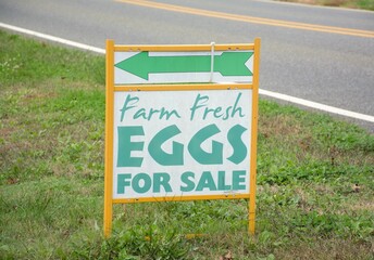 A sign for fresh farm eggs for sale.