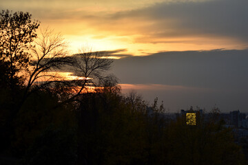colorful sunset in the woods