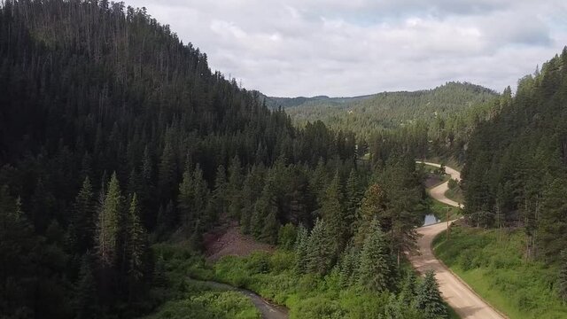 Aerial shot moving through a mountain forest valley with a dirt road and a stream, revealing a wooden trestle bridge on the Mickelson Trail in the Black Hills, South Dakota.