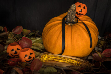 The Pumpkin and the Corn