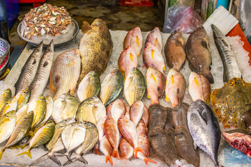 saefood market in Naklua Thailand