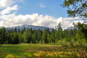 łąka, las i góry - piękna pocztówka ze Słowacji