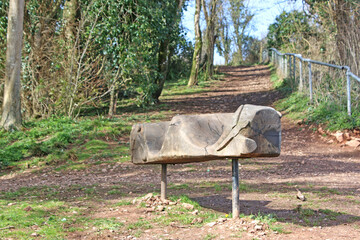 Wooden bench in a wood	