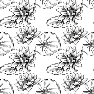 Monochrome seamless pattern with flowers. Water Lily and leaves isolated on a white background