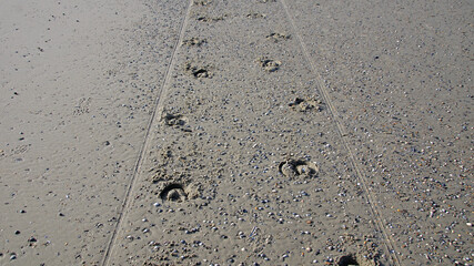 Kutschenspuren am Strand