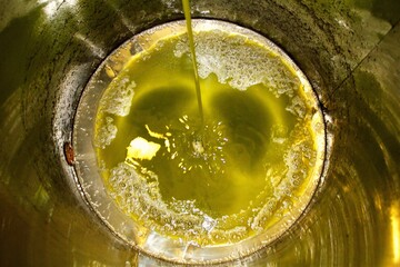Extra virgin olive oil extraction process in olive oil mill located in the outskirts of Athens in...