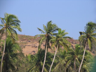 North Goa landscape, India
