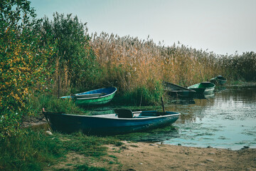 Photo of the lake shore with boats in reeds