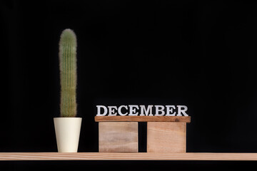 Wooden calendar of December and cactus on black background. Mock up.
