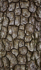 texture background