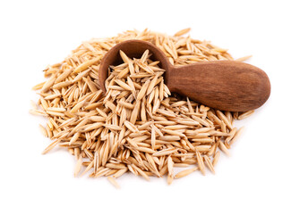 Unpeeled oat grains in wooden spoon, isolated on white background. Organic dry oat seeds.