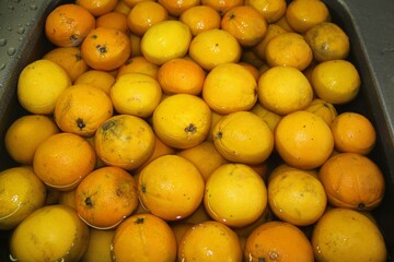 Fresh oranges under cool water