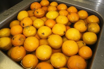 Fresh oranges under cool water