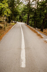 Mountain scenic road in the forest. Grreece. Rhodes. Vertical frame.