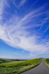 丘の上のいっぽん道