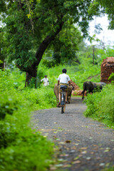 Naklejka premium indian little boy enjoy cycle riding