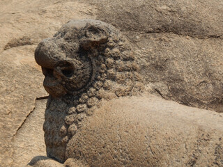 Lion sculpture, stone carving at ancient city of Mahabalipuram, Tamil Nadu, India
