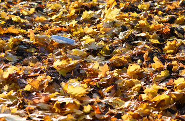 Waste during COVID-19. Used Medical face mask on the floor. Disposable Face Mask contaminating a nature. Environmental concern concept. Czech republic, Europe.