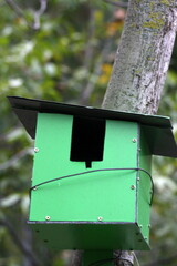 Birdhouse on a tree in the park