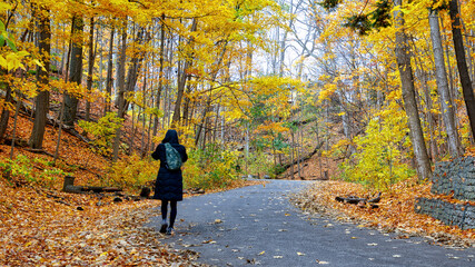 Obraz premium Walking uphill with autumn leaf color in the public park