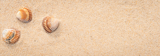 Fototapeta na wymiar Arrière-plan grains de sable de mer, sable fin de plage et coquillages. 
