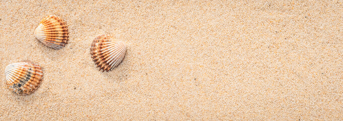 Arri&egrave;re-plan grains de sable de mer, sable fin de plage et coquillages.	