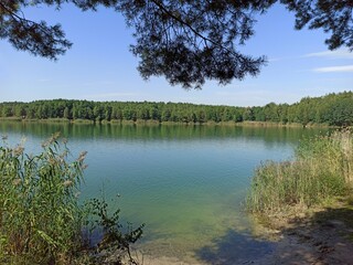 Forest lake with emerald water. Beautiful water panorama