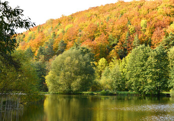 bunter Herbstwald spiegelt sich im Wasser