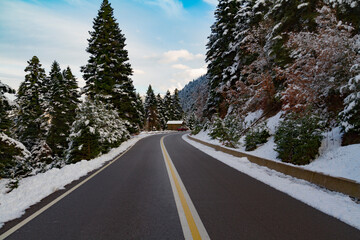 Winter. A country road at Oiti mountain, Fokida, Greece. The trees are snowy but the road is clear. Few clouds in the sky. A wooden snowy hut at the end of the road at background.