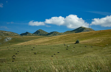 Fototapeta premium Fantastic mountains of Montenegro. Picturesque mountain landscape of Durmitor National Park, Montenegro, Europe, Balkans, Dinaric Alps, UNESCO World Heritage Site. 
