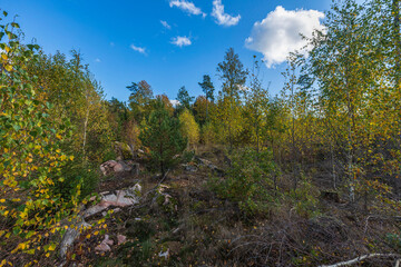 Beautiful autumn view of rocky nature landscape in forest. High green pine trees on blue sky background. Amazing nature landscape background. Sweden.