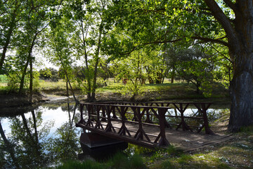 Fototapeta premium Paisaje idílico con embarcadero rodeado de árboles.