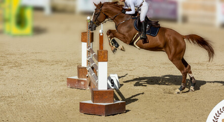 brown horse jumping the obstacle durign a five star competition in Italy