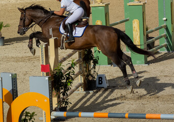 brown horse jumping the obstacle durign a five star competition in Italy
