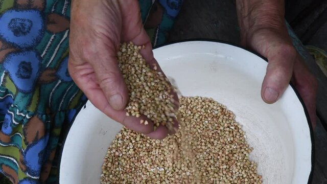 Female wrinkled hand mix and scatter raw buckwheat groats into old rustic bowl. Authentic rural local cuisine. Closeup of organic buckwheat seeds in handful of senior woman