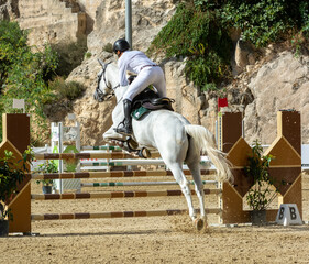 white horse jumping the obstacle durign a five star competition