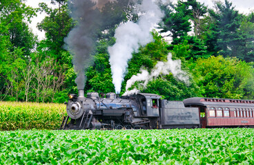 Obraz na płótnie Canvas Close Up of an Antique Steam Passenger Train Puffing along Amish Countryside with Green Fields