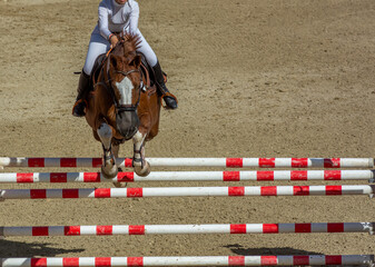 brown horse jumping the obstacle durign a five star competition in Italy