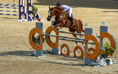 brown horse jumping the obstacle durign a five star competition in Italy