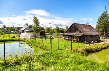 Fototapeta na wymiar Farmhouse, yard and small pond in summer sunny day