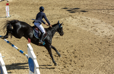 brown horse jumping the obstacle durign a five star competition in Italy